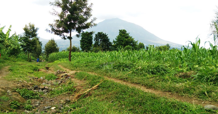 Amazi aturuka mu Kirunga cya Muhabura ahangayikishije abaturage ko abangiriza.