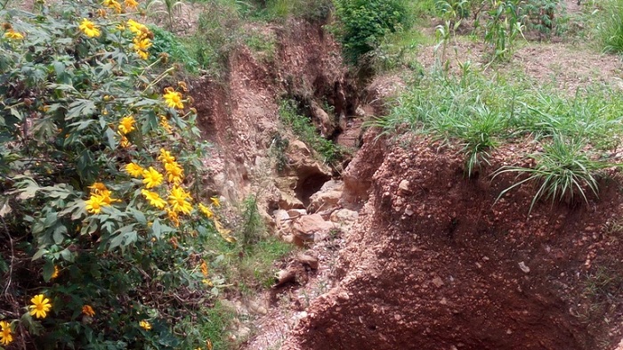 Amazi agenda akora umukoki utwara imirima