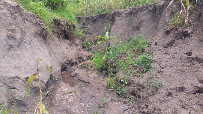 Amazi yakoze umukoki aho agenda anyura