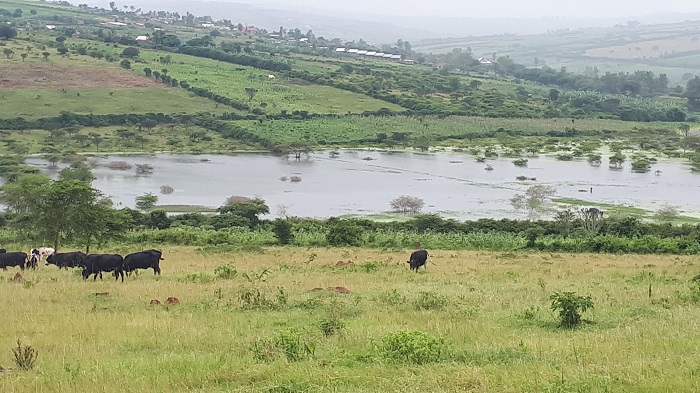 Valley dam ya Gihorobwa yaruzuye amazi ajya mu nzuri z'abaturage