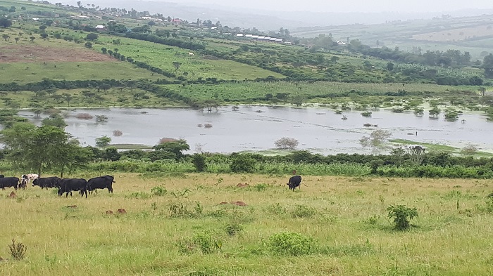 Valley dam ya Gihorobwa yaruzuye amazi ajya mu nzuri z