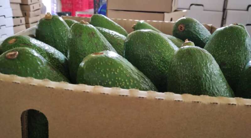 Avoka ubu zicuruzwa mu mahanga