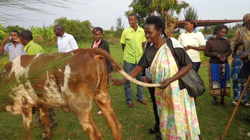 Mukarukwaya yishimiye inka yahawe avuga ko yari amaze igihe abisaba Imana.
