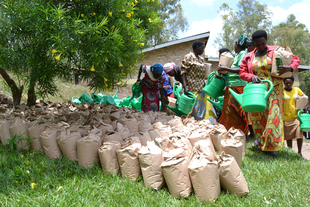 Bahawe imbuto ya Soya yo kubasha gukora tofi zizajya zisimbura inyama mu byo kurya byabo 