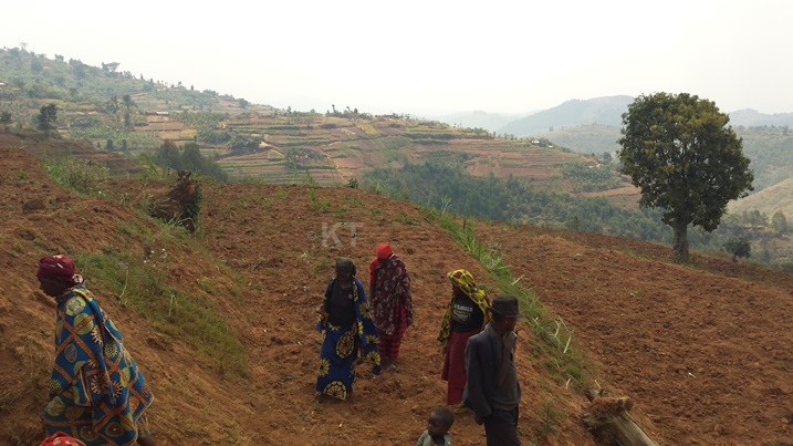 Bamaze gutinyuka gutera ibiti bivangwa n