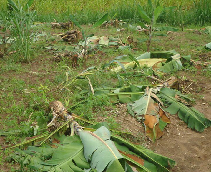 Yatemye insina arararika ngo kubera ko bamwambuye amafaranga 300.
