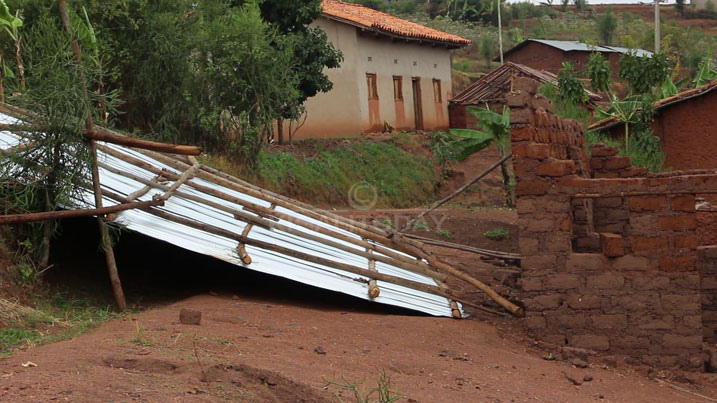 Ibisenge bitaziritse ni byo bitwarwa n'umuyaga