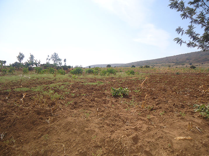 Bamwe mu baturage bafashe ubwishingizi bw