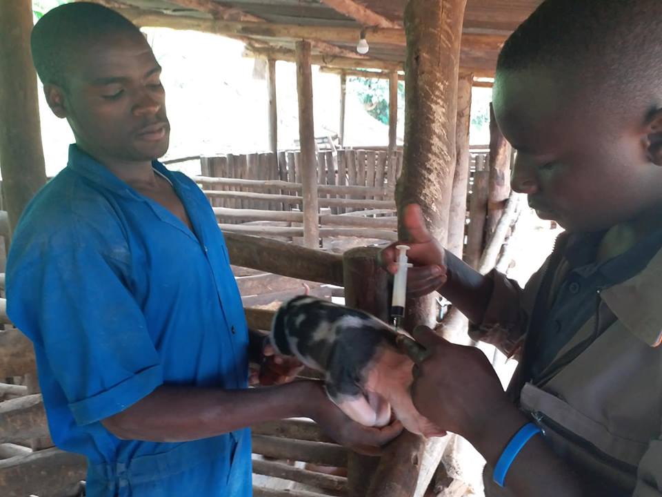 Bamwe mu bakozi ba Shirimpumu mu kazi