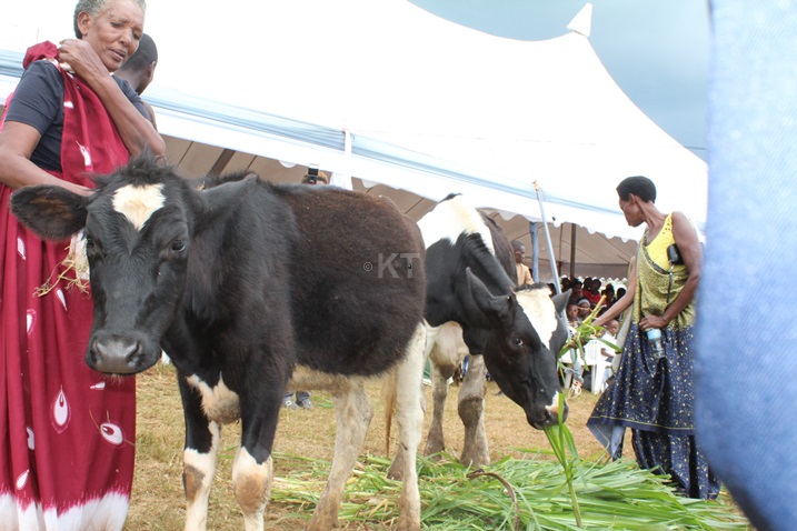 Bamwe mu barokotse Jenoside bagabiwe inka.