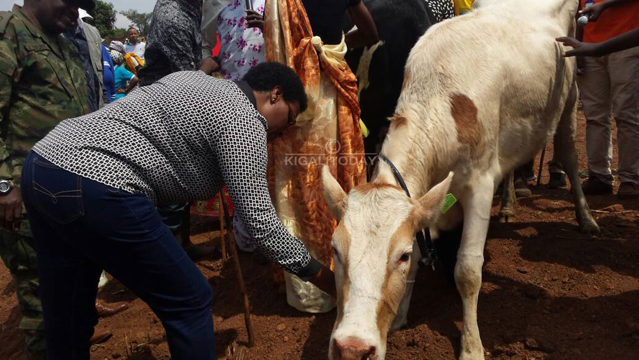Banahawe ubundi bufasha butandukanye.