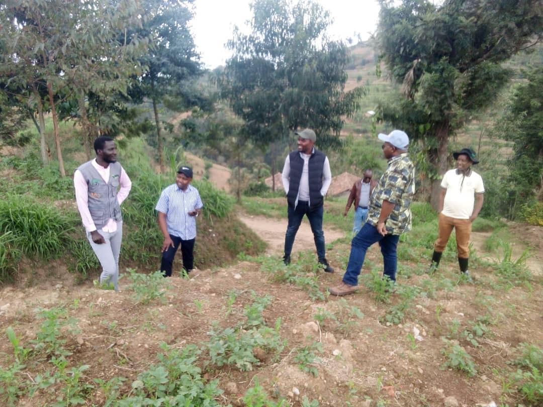 Barebeye hamwe uburyo imyaka yarokotse urubura yakwitabwaho igakura