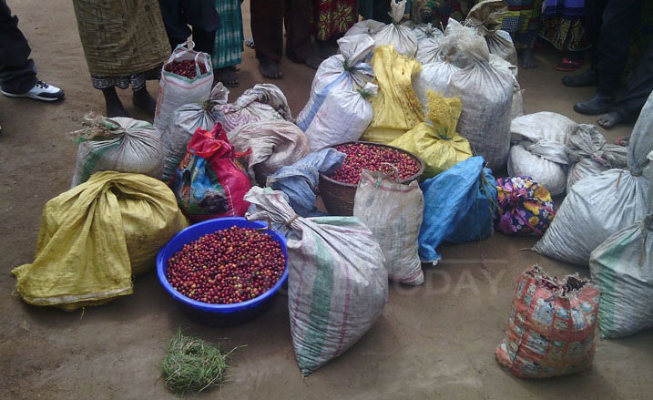 Barishyuza kaw bagemuye muri koperative ntiyabishyura