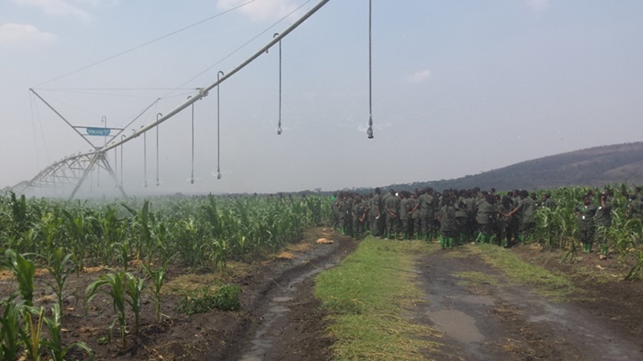 Aha basuraga ibikorwa by'ubuhinzi byifashisha kuhira imusozi.