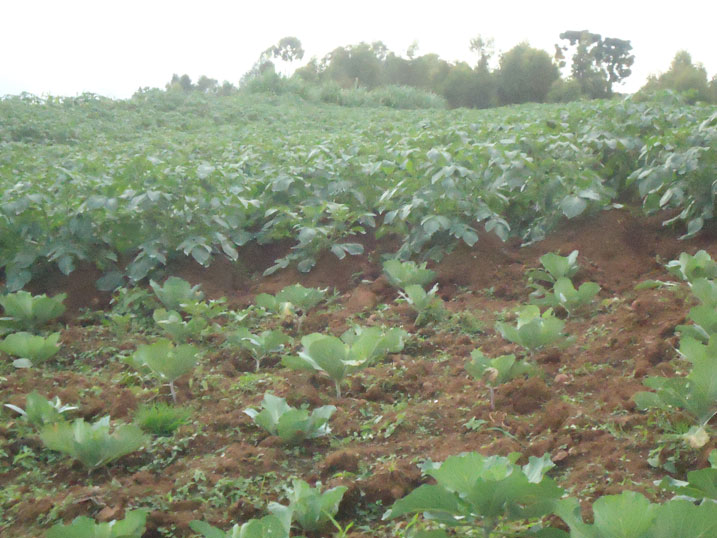 Mu byo basuye harimo n'ubuhinzi.
