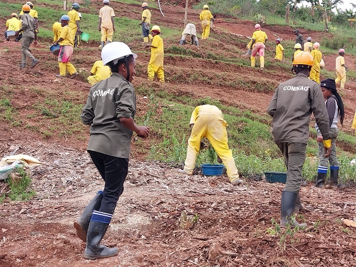 bateye ibiti ku misozi mu rwego rwo kurwanya isuri no gufata ubutaka