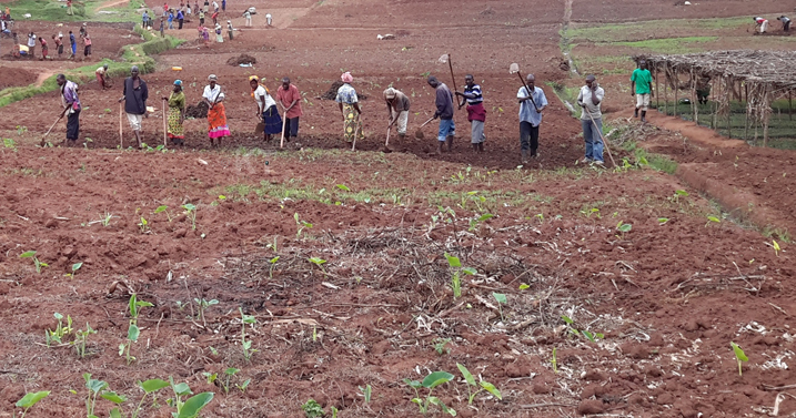 Batijwe ubutaka bwo guhinga kugira ngo biteze imbere