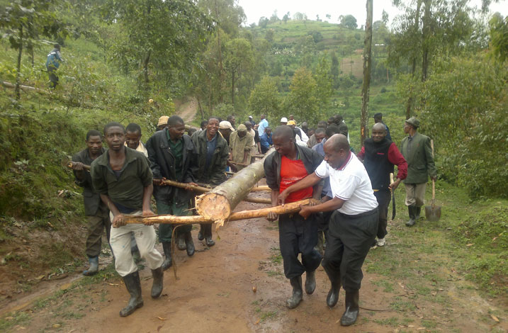 Umuyobozi w'akarere ka Burera (wambaye umupira w'umweru) nawe yifatanyije n'abaturage mu gutwara ibiti byo kubaka ikiraro cya Karuruma.