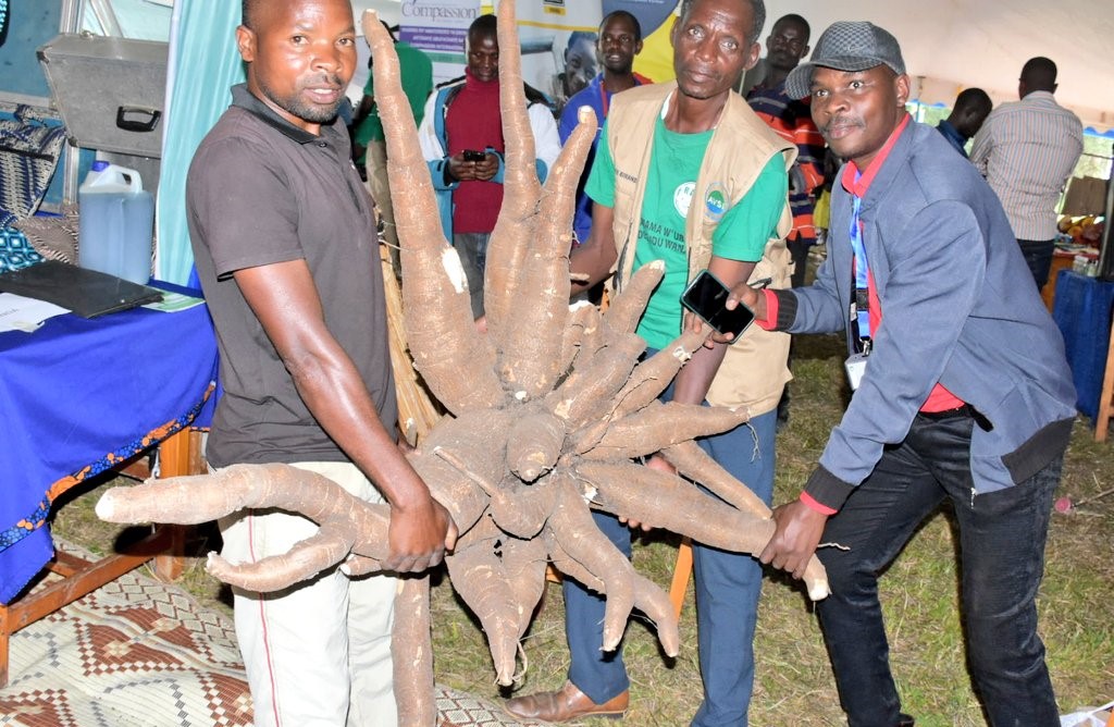 Abaturage barashimira uruhare rw