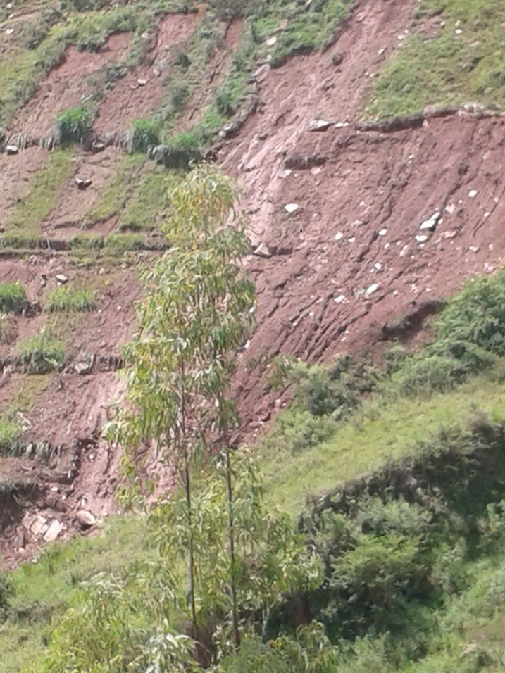 Bigaragarira amaso ko aha hantu ari mu manegeka akabije.