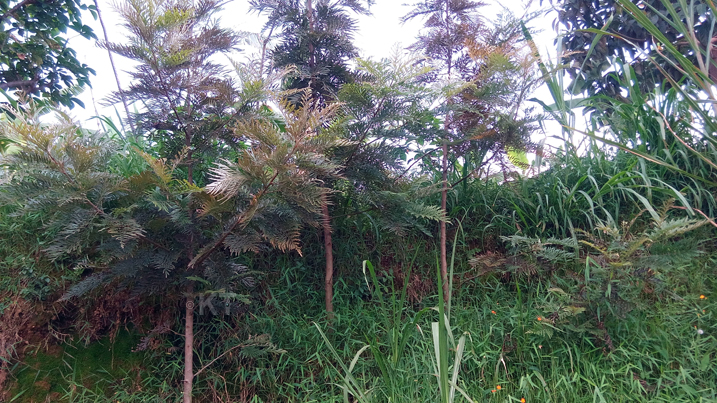 Bimwe mu biti byatewe n'abaturage bakamburwa na rwiyemezamirimo asaga miliyoni 16