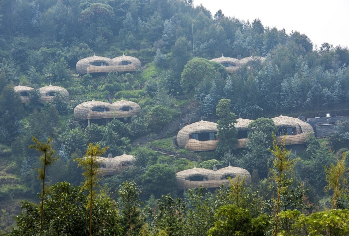 Bisate Lodge iherereye muri pariki y