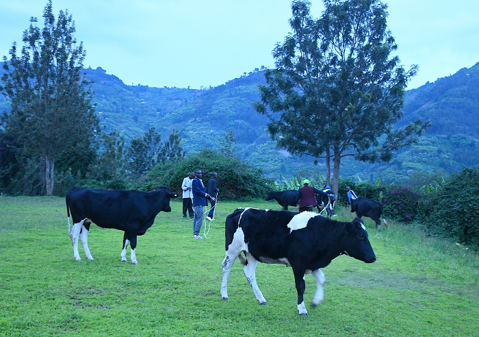 Bishatsemo inka eshanu baremera abatishoboye