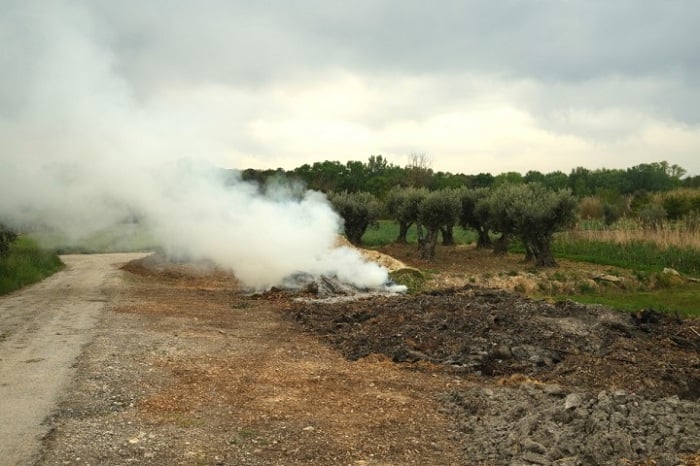 Aho abonye ibyatsi cyangwa ibikenyeri bisasiye urutoki aratwika