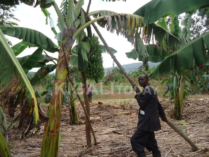 Bugesera ho ntibazibagirwa inzara yahahoze ariko kubera ubuyobozi bwiza bakaba basigaye beza nk