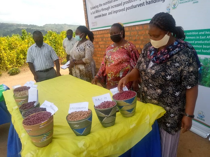 Ni imbuto zihariye ku bwiyongere bw