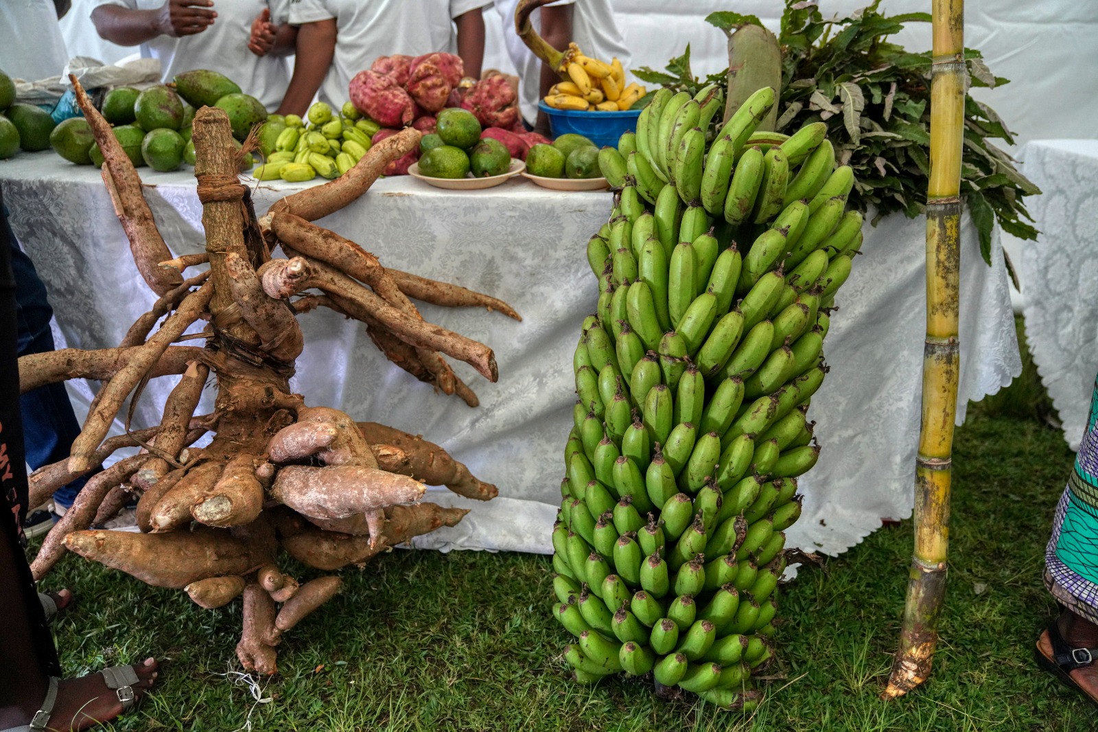 Byagaragajwe ko mu Karere ka Nyamasheke hatabuze ibyo kurya