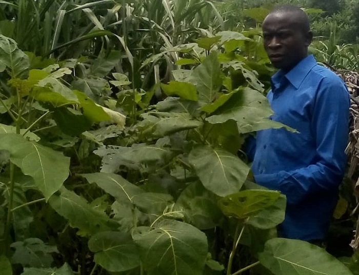 Ibinyomoro byasaziye mu buhombekero ku buryo ngo bitagitewe