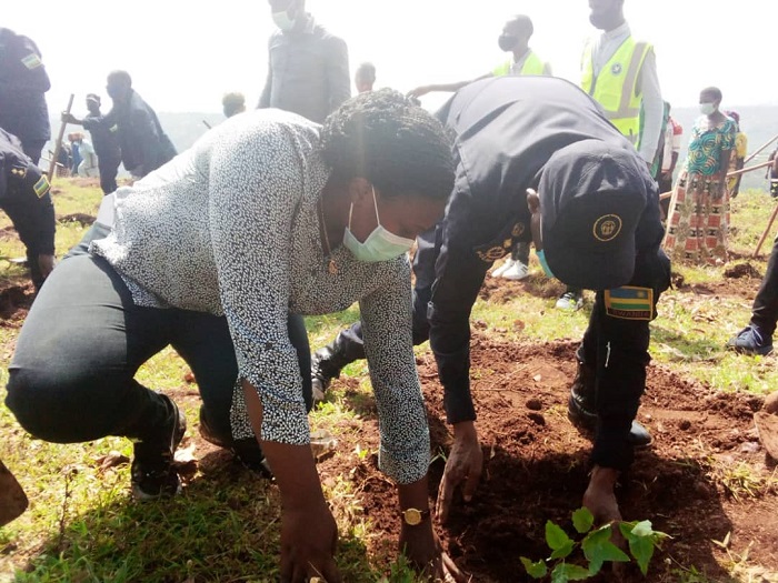 Guverineri Kayitesi na CP Munyambo batera igiti