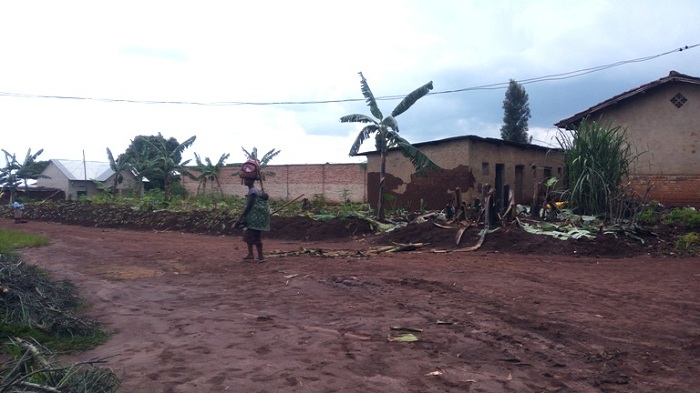 Insina n'ingo zubakishije ibiti nk'imiyenzi n'imihati cyangwa imbingo zakuweho