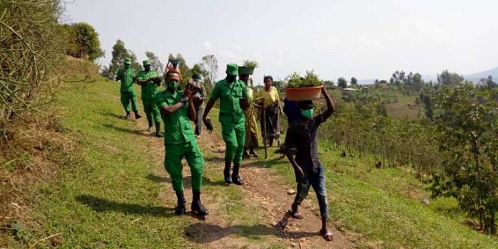 Batwaye ibiti byo gutera