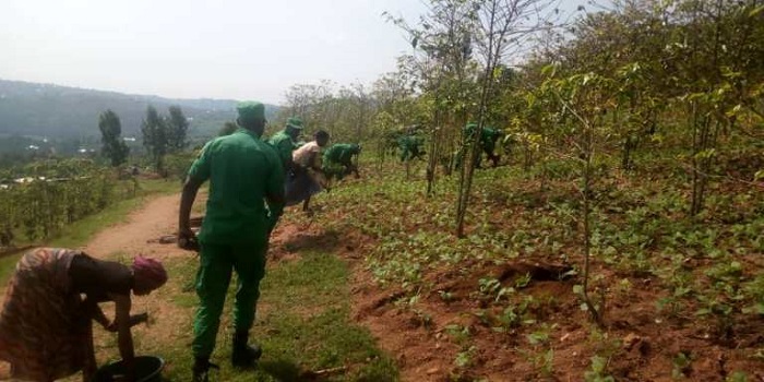 Bifatanyije n'abatuye mu Murenge wa Huye mu gikorwa cyo gutera ibiti bivangwa n'imyaka