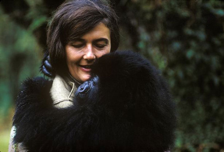 Diana Fossey yabanye n