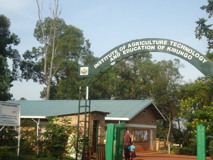 INATEK igiye gufasha abahinzi guhinga imboga n