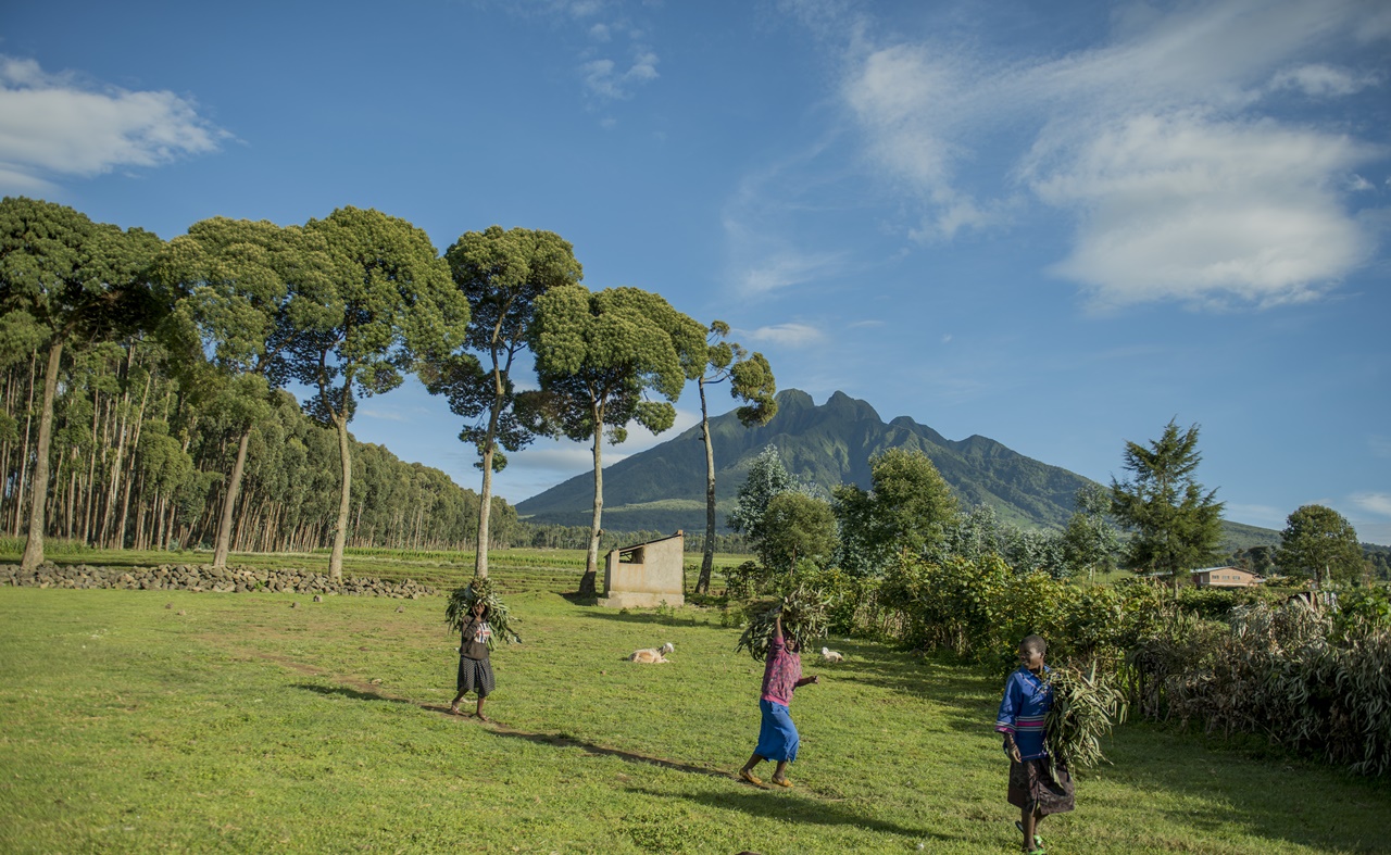 Abo bana baturiye mu nkengero za Pariki y'Ibirunga baba bibereye mu turimo dutandukanye