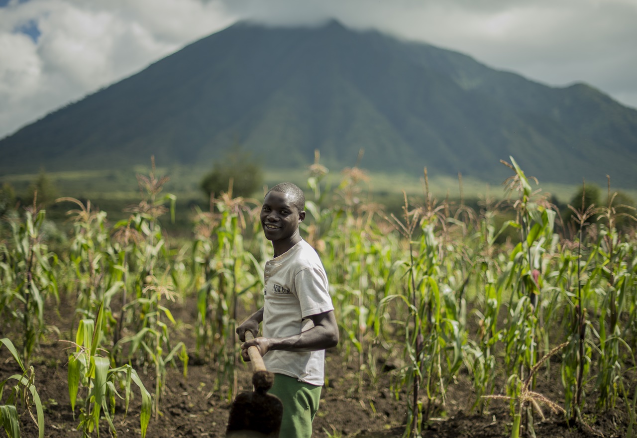 Aka gace keramo n'ibigori utasanga ahandi mu Rwanda