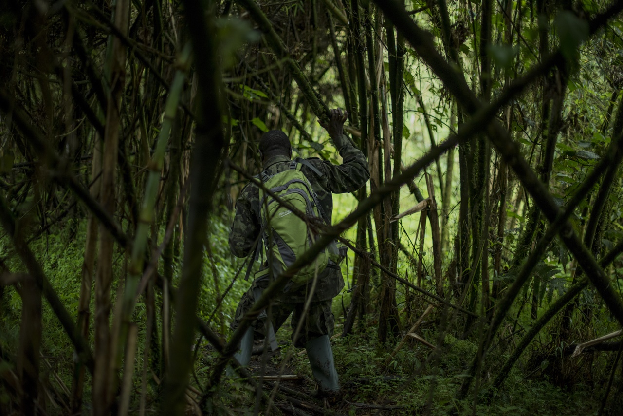 Urugendo ruba ari inzirane ariko umu "Guide" arabayobora ku buryo ntawusigara inyuma