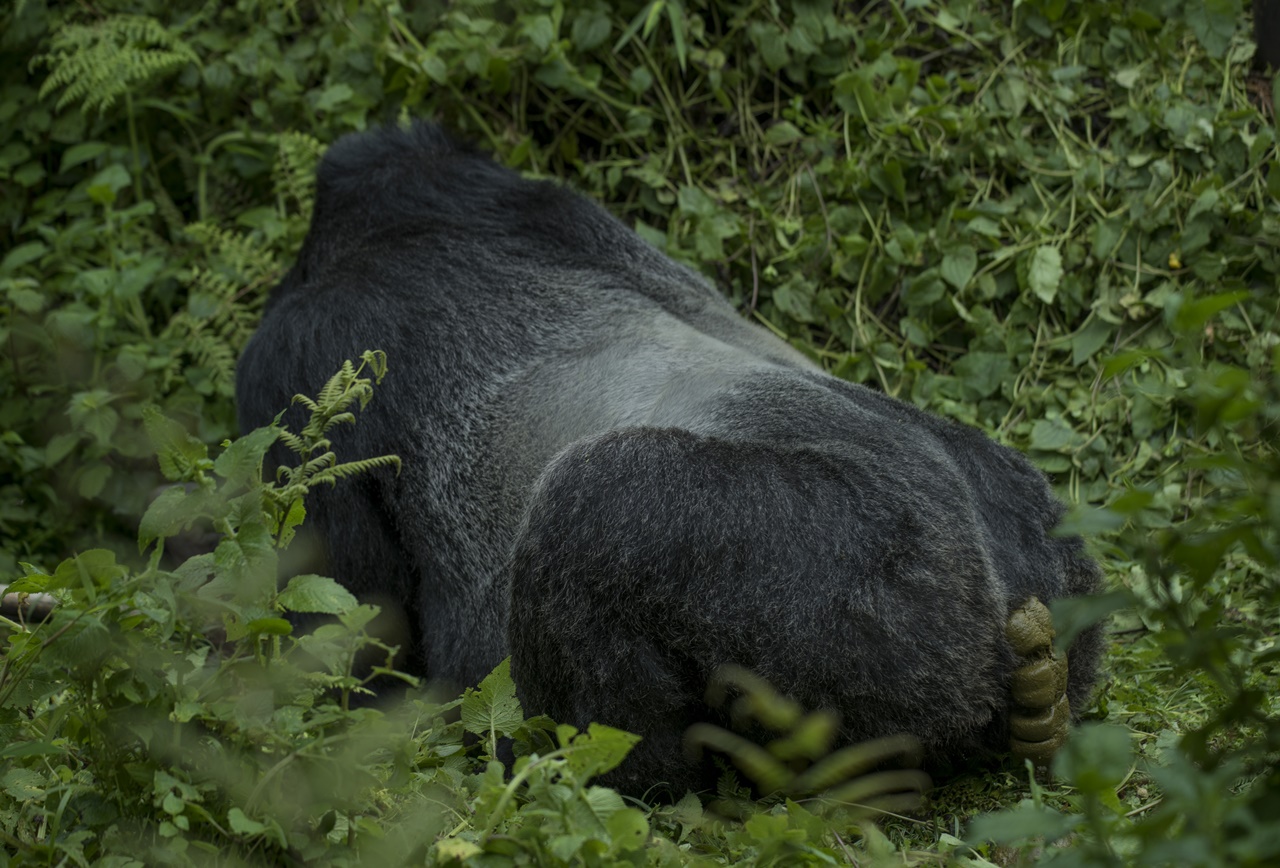 Muhoza imaze gukora umuryango aho ubu ifite abagore umunani n'abana batatu