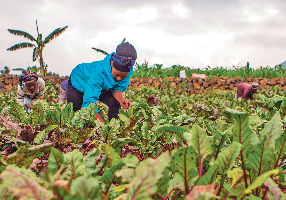 Mu myaka itanu urubyiruko rurenga ibihumbi 130 ruzaba rutunzwe n'ubuhinzi 