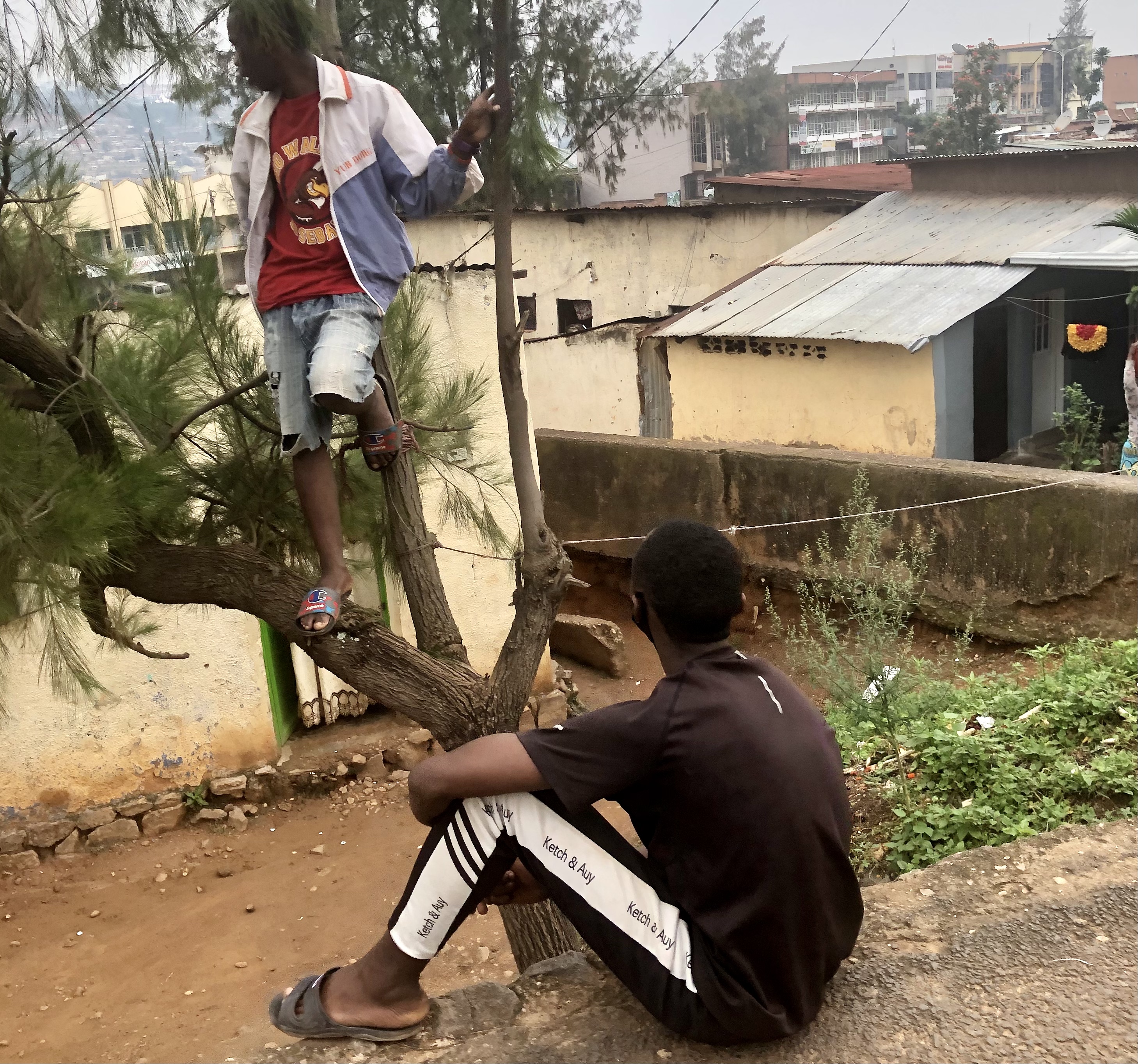 Uyu we Guma mu Rugo yayihindiye Guma mu giti