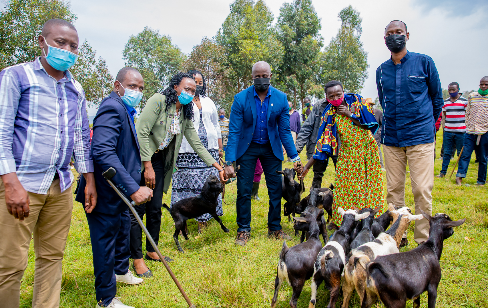 Amatungo bahawe ngo aje akenewe kuko azabafasha kubona ifumbire n