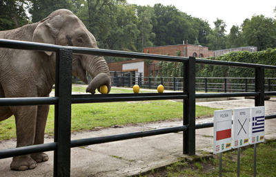 Inzovu yaraguye ko Pologne iza gutsinda Ubugereki.