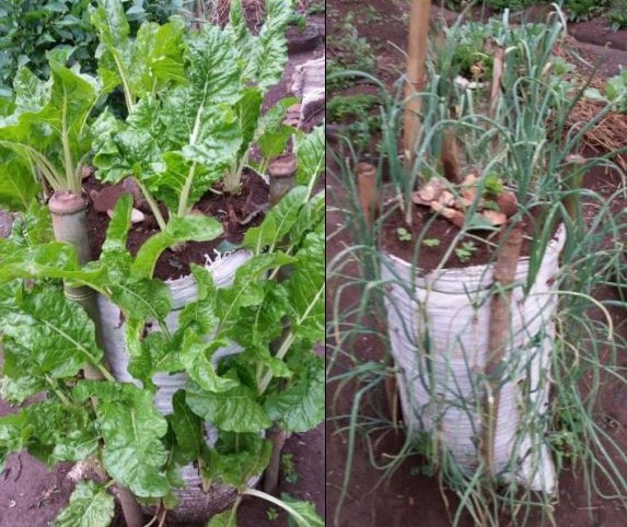 Mu byo batitagaho bashobora kwifashisha harimo ibikoresho bigizwe n'imifuka, amabase n'ibindi