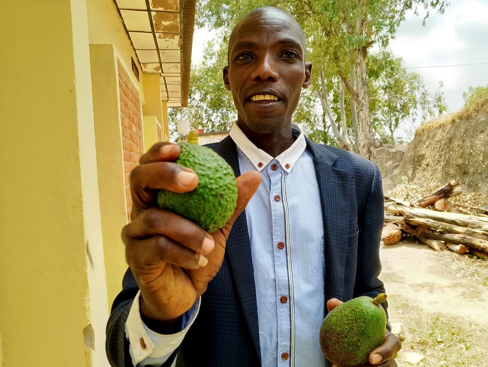 Fuerte na yo irakunzwe ku isoko mpuzamahanga