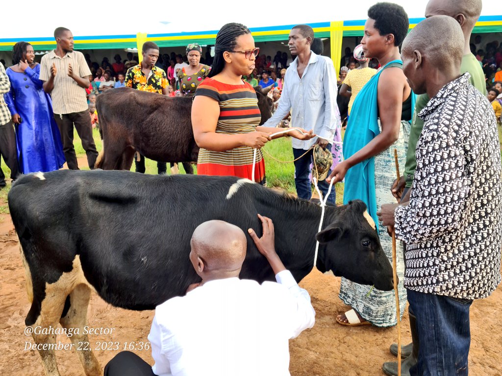 Imiryango 15 yorojwe inka