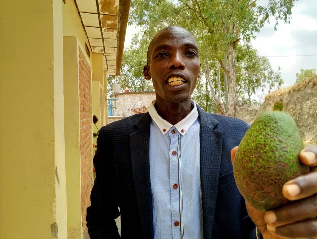 Garama 120 za avoka ya Hass zigura 85, kandi iyi yenda kugira garama 250